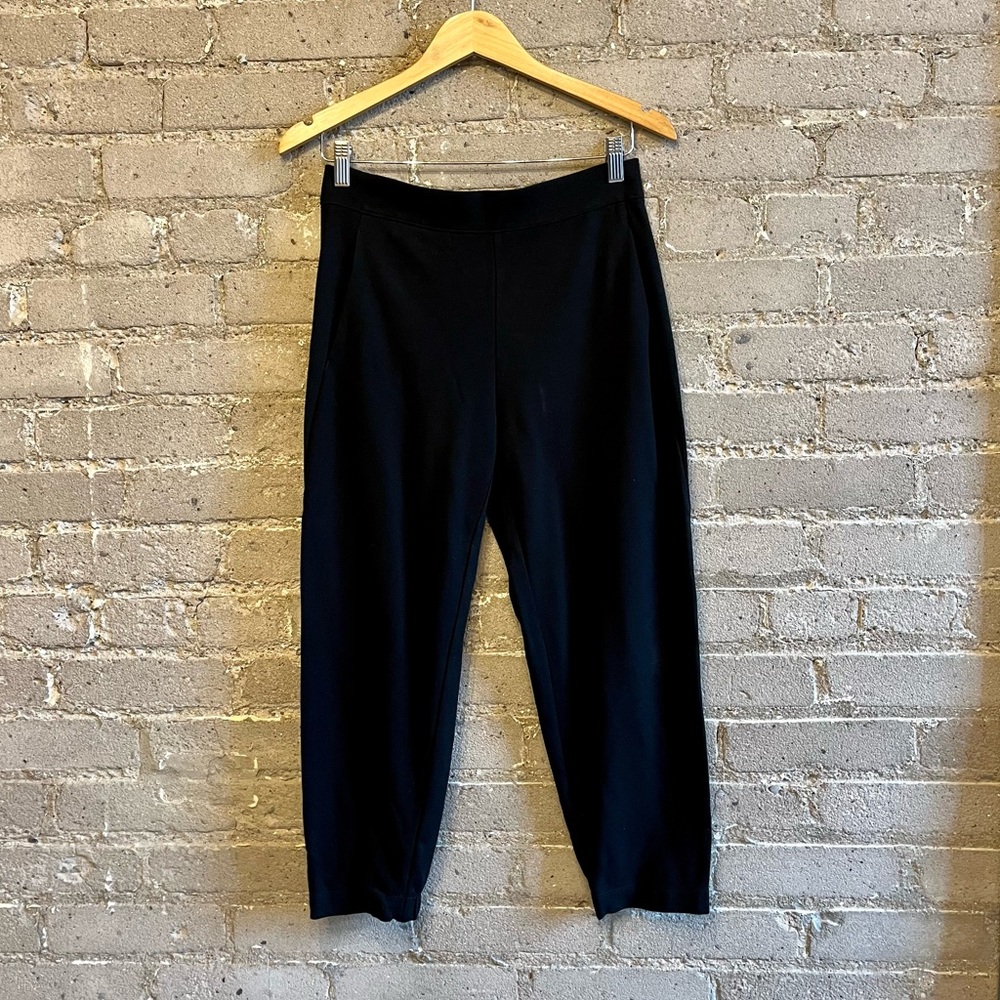 The Group By Babaton Kitt Pant - Size S